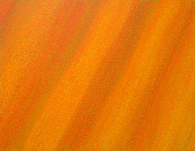 australian desert song original painting burnt orange colour